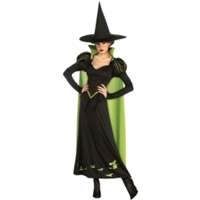 Witches and Wizards Adult Costumes