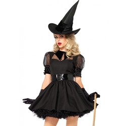 Bewitching Witch Sexy Adult Costume