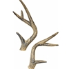 Classic Antlers