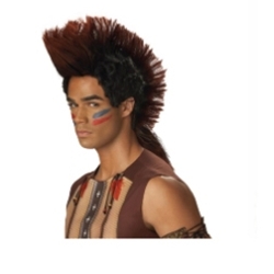 Native American Warrior Wig