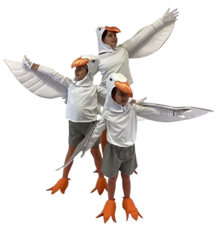 Rental Costumes for Finding Nemo Jr - Nigel and Other Seagulls