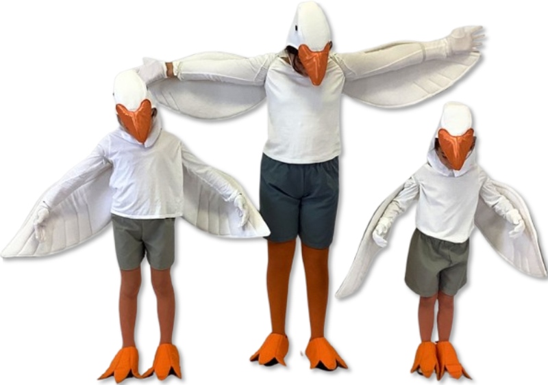 Rental Costumes for Finding Nemo Jr - Nigel and Seagulls