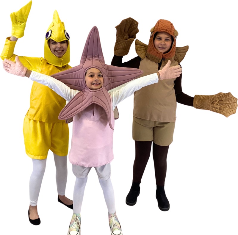 Rental Costumes for Finding Nemo Jr - Tank Gang Bubbles, Peach, and Bloat