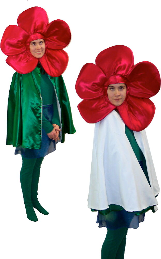 Rental Costumes for The Wizard of Oz - Poppy with reversible cape to transition to snow covered poppy