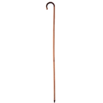 Bamboo Cane 