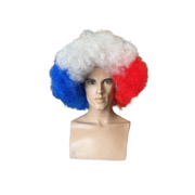 Afro Clown Wig - Professional