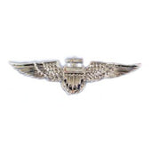 Pilot Insignia Aviator Wing Pin