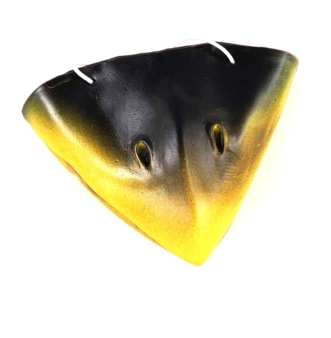 Crow Animal Nose