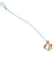 Invisible Dog Leash