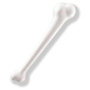 Jumbo Bone Club