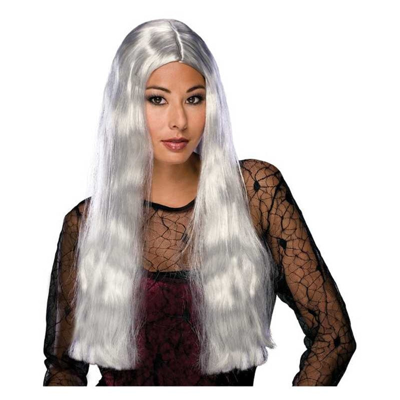 Long Gray Witch Wig