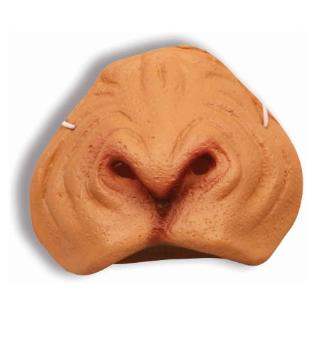 Monkey Animal Nose