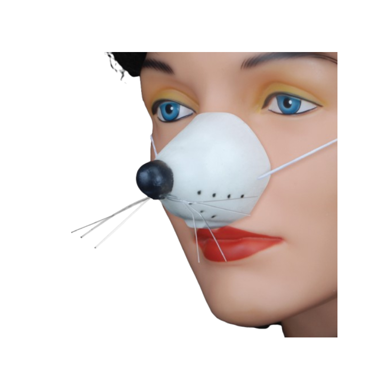 Mouse Animal Nose