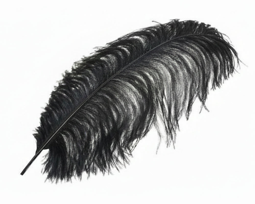 Ostrich Plume 19 in.