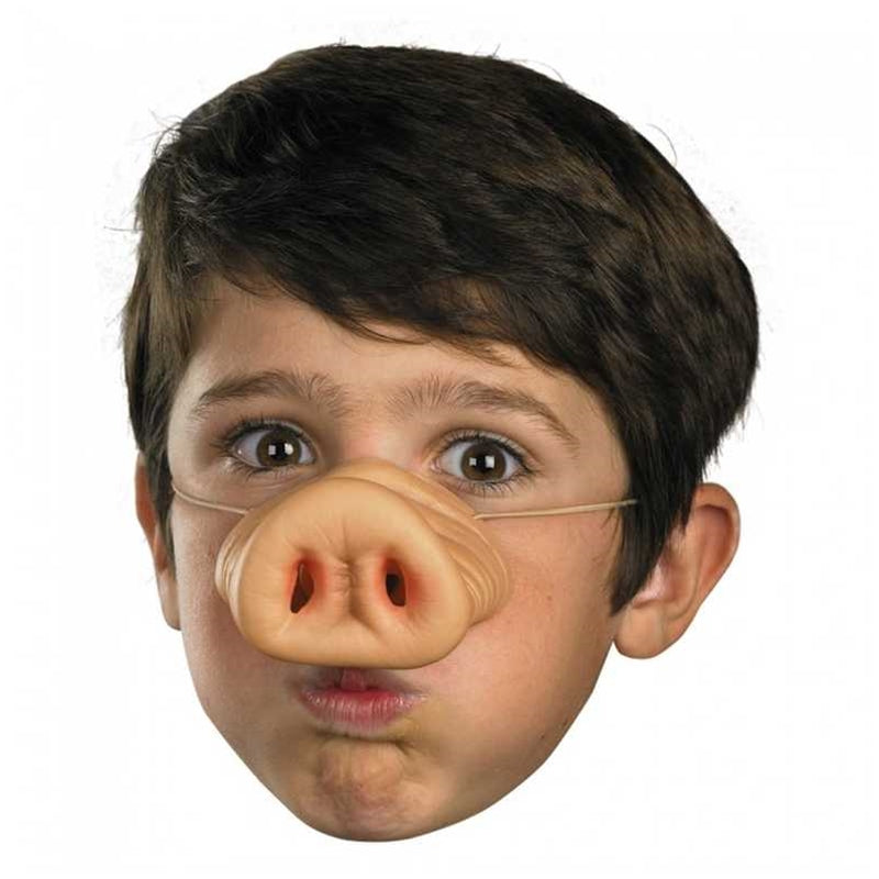 Pig Animal Nose