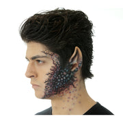 Space Ear Tips Prosthetic Application