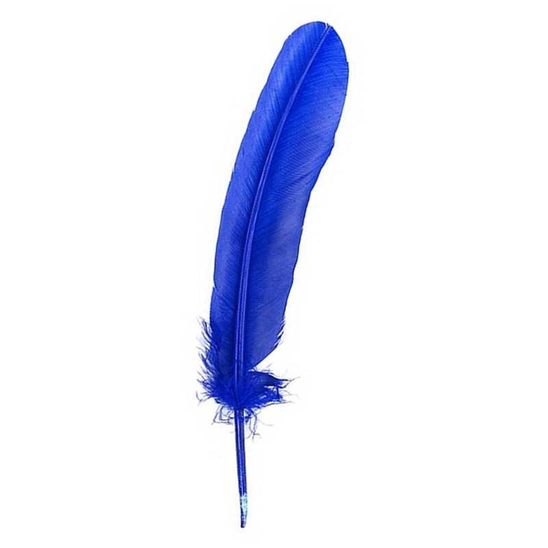 Turkey Quill Feather