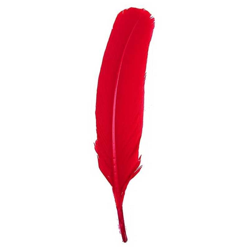 Turkey Quill Feather
