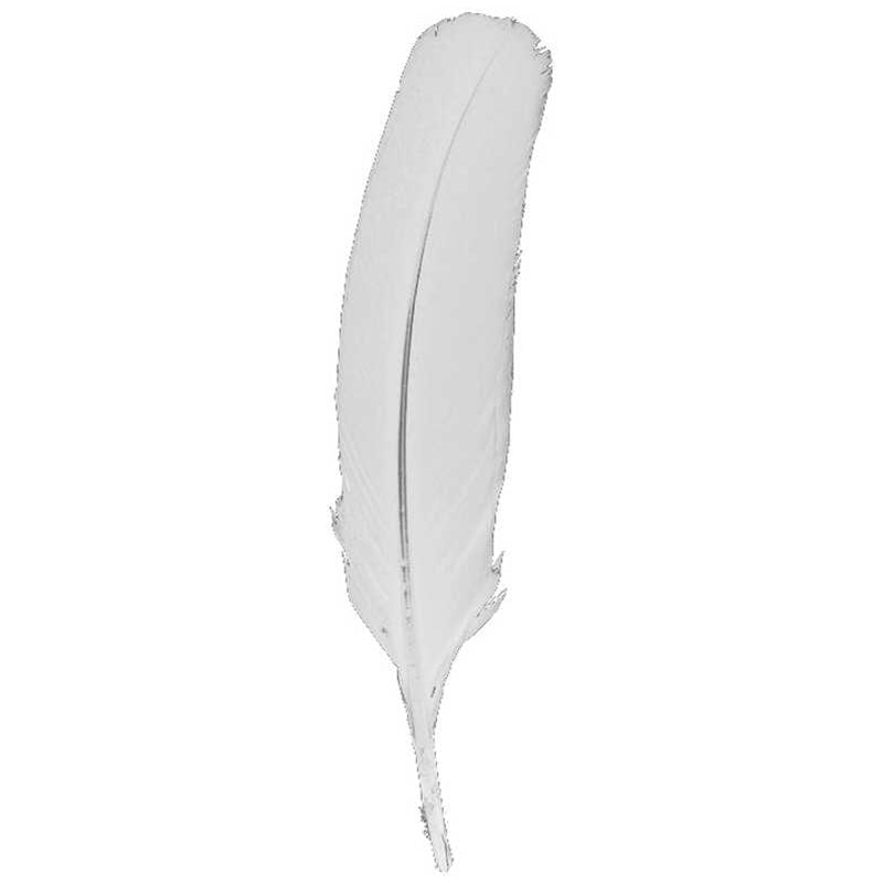 Turkey Quill Feather