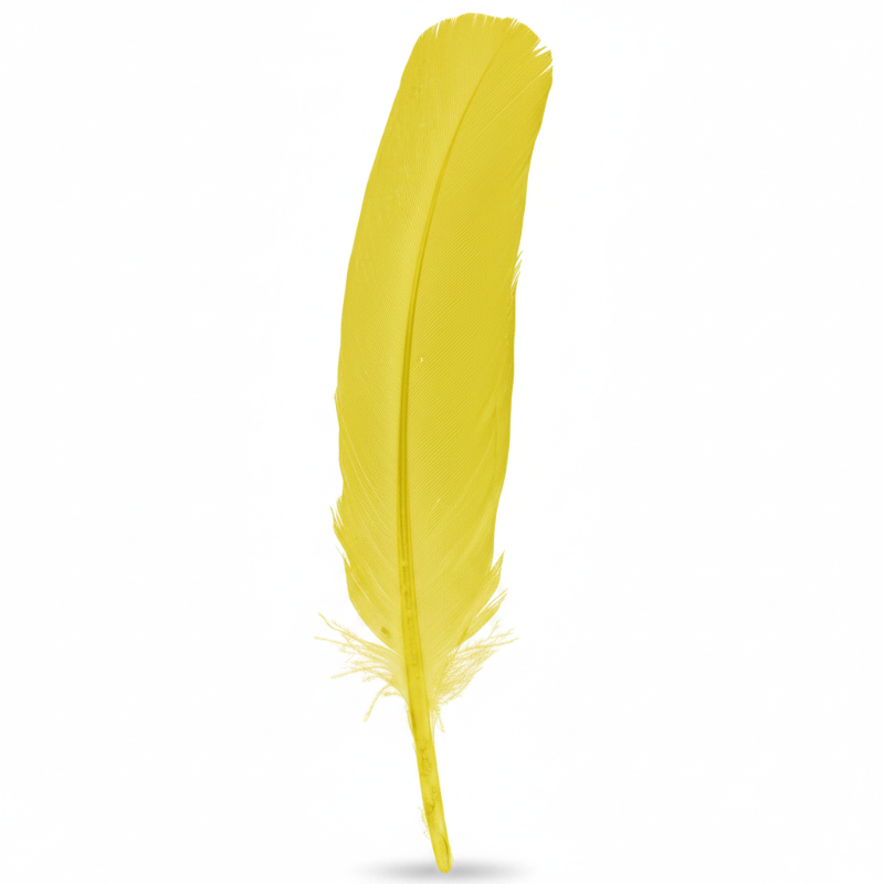 Turkey Quill Feather