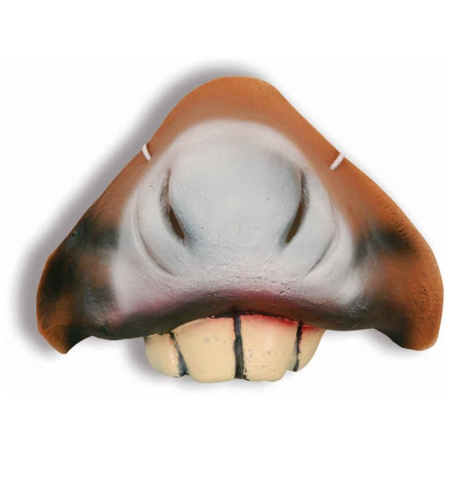 Donkey Animal Nose