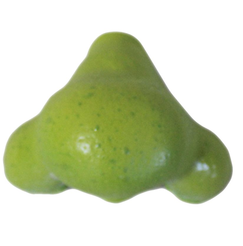 Male Ogre Nose Prosthetic