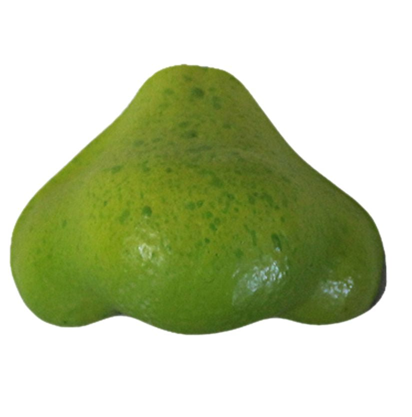 Female Ogre Nose Prosthetic