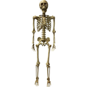 Poseable Skeleton 