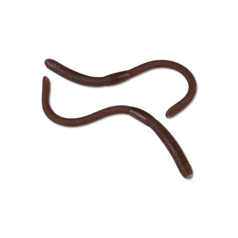 Fake Rubber Worms