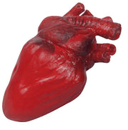 Heart Prop