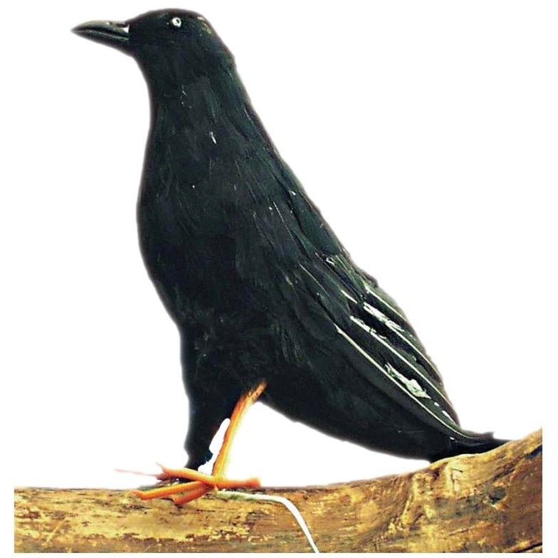 Black Feather Raven Prop