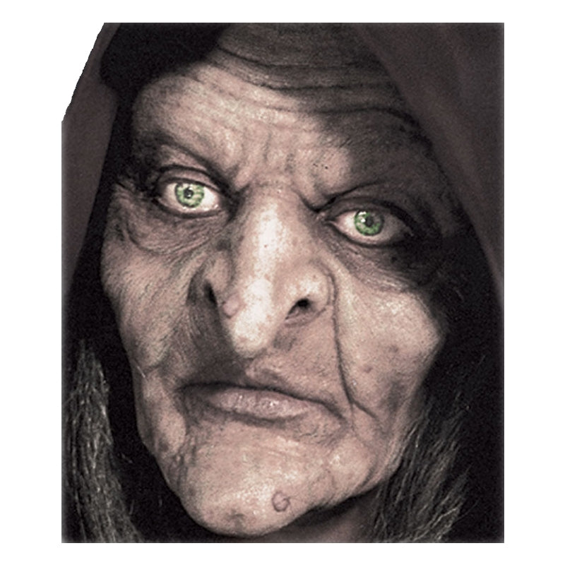 Swamp Witch Full Face Prosthetic