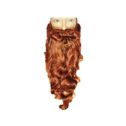 Hillbilly Beard