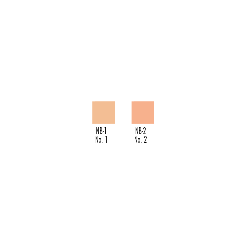 Ben Nye Concealers & Adjusters Palette (STP-15)