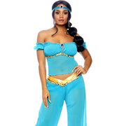 Arabian Beauty Sexy Adult Costume 