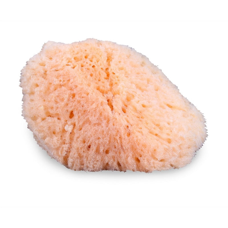 Natural Sea Sponge Applicator by Mehron
