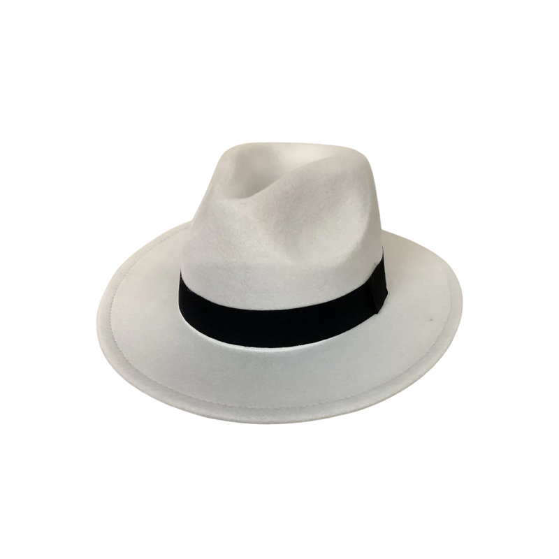 Fedora with Black Band