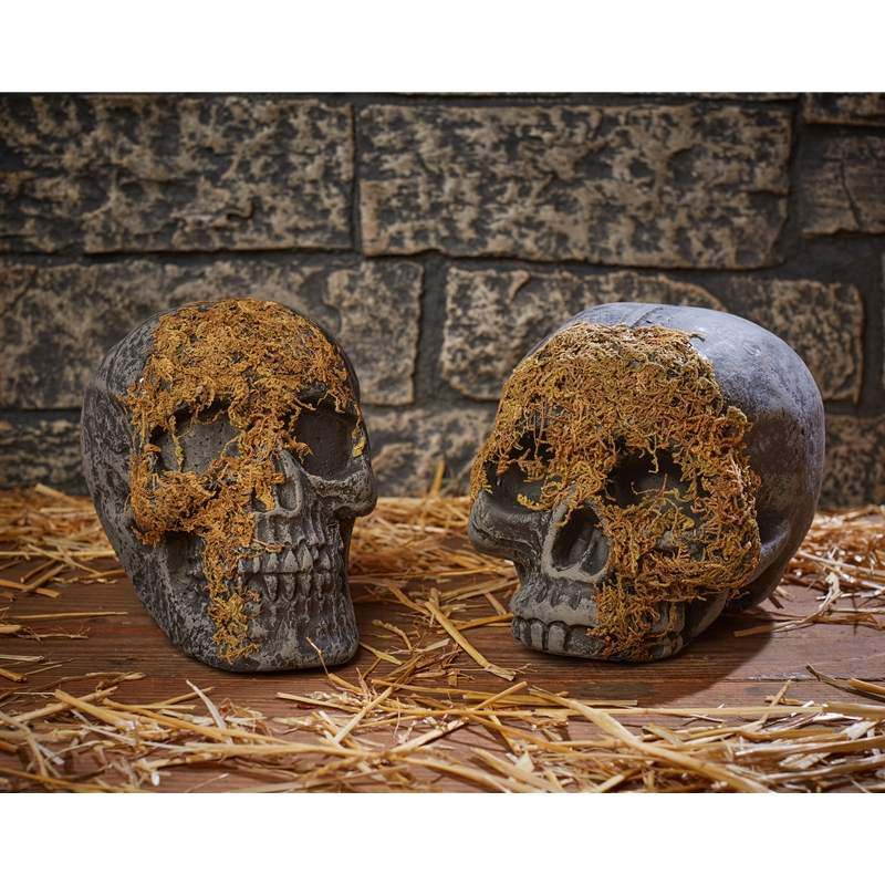 Moss Covered Skull