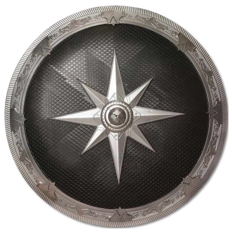 Silver and Black Shield