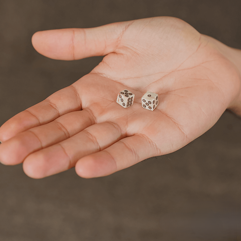 Mini Bone Dice (2 pack)