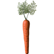 Jumbo Bunny Carrot