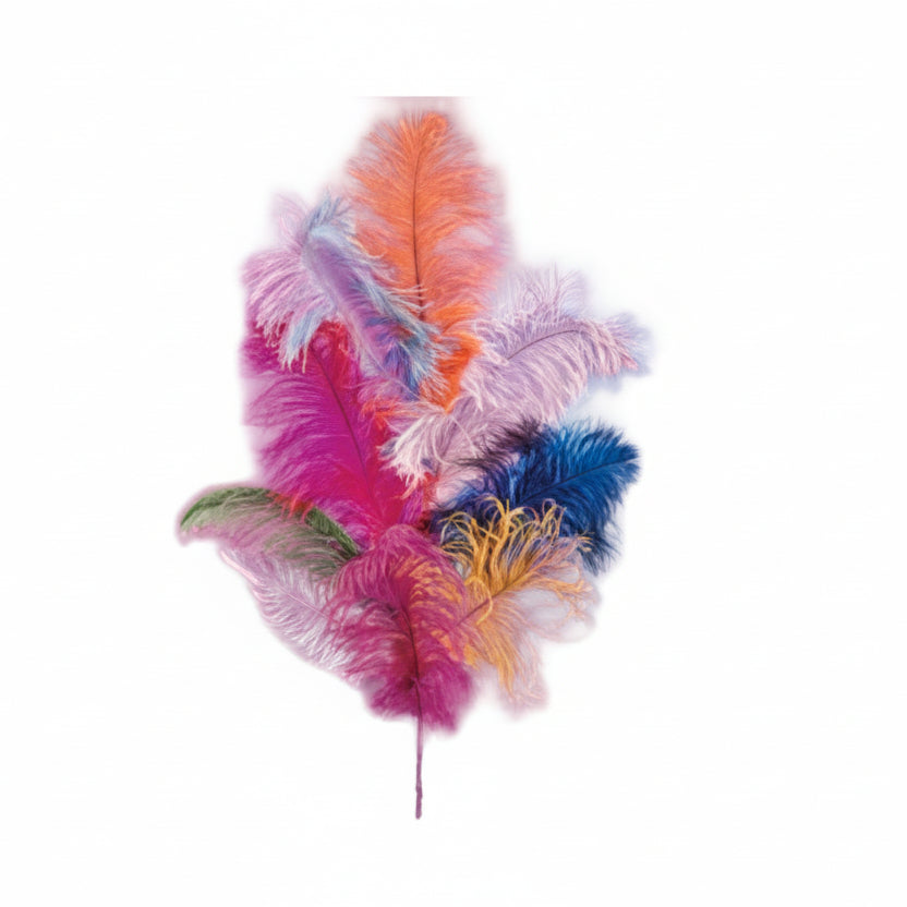 Ostrich Plumes 18"-21"
