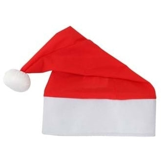 Dr. Seuss Grinch Santa Costume Adult