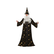 Celestial Wizard Adult Costume