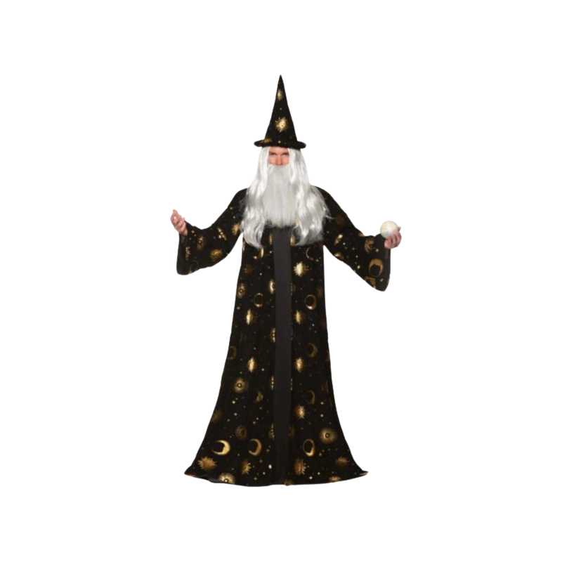 Celestial Wizard Adult Costume