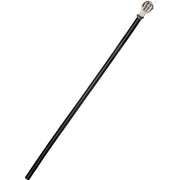 Eyeball Cane