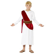 Roman Childs Costume