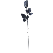 Gray Rose with Black Stem