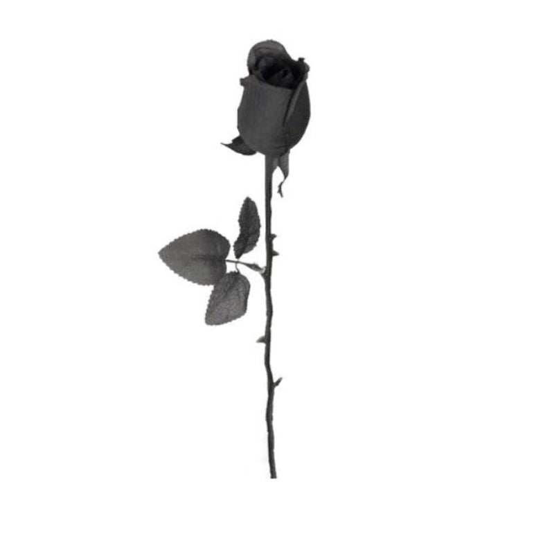 Rose with Black Stem 21" 