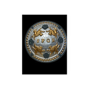 Roman SPQR Shield 